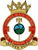 172 (Haywards Heath) Air Cadets Squadron badge