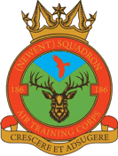 186 (Newent) Air Cadets Squadron badge