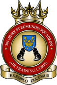 301 (Bury St Edmunds) Air Cadets Squadron badge