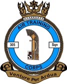 305 (Ashford) Air Cadets Squadron badge