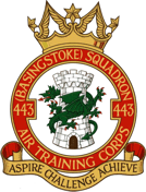 443 (Basingstoke) Air Cadets Squadron badge