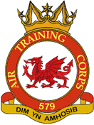 579 (Llandrindod Wells) Air Cadets Squadron badge