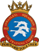 593 (Swanley) Air Cadets Squadron badge