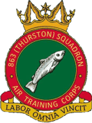 863 (Thurston) Air Cadets Squadron badge