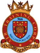 966 (Wallingford) Air Cadets Squadron badge